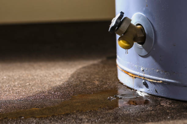 Best Ceiling water damage repair  in Montauk, NY