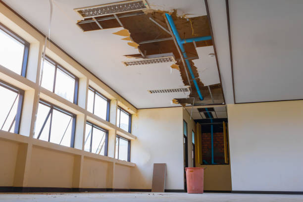  Montauk, NY Water damage restoration Pros