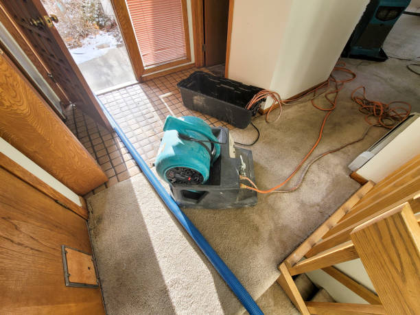 Best Commercial water damage restoration  in Montauk, NY