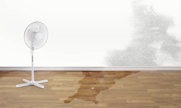 Water damage restoration mold remediation in NY