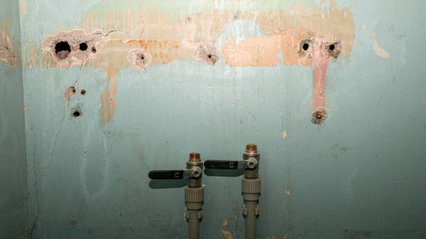 Best Carpet water damage restoration  in Montauk, NY